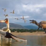 pterosauro becco a pettine