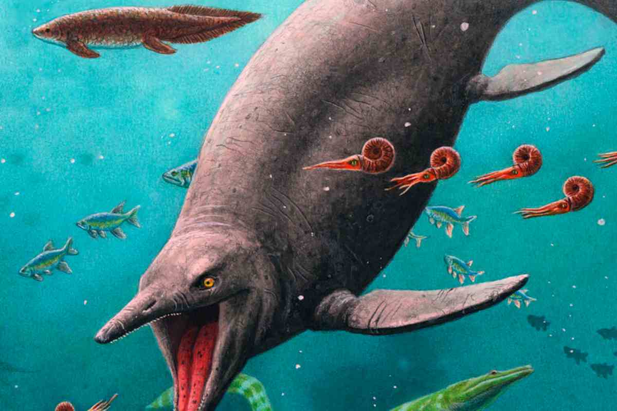 Fossili di rettili marini immagine d'archivio