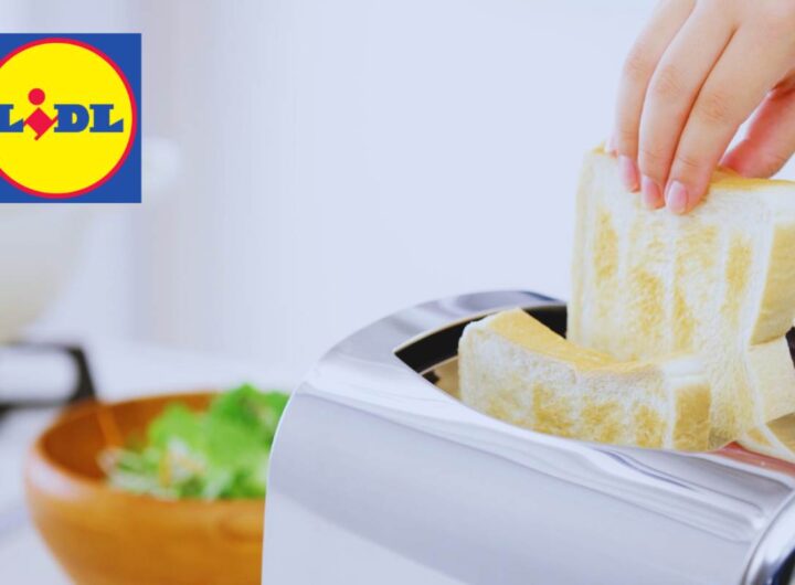 Design e risparmio: perché il tostapane Lidl a 19,99€
