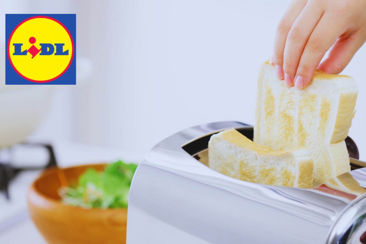 Design e risparmio: perché il tostapane Lidl a 19,99€ è il miglior acquisto della settimana