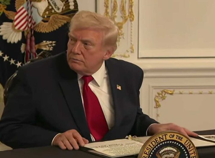 Trump in conferenza stampa