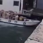 Ruba una barca e si schianta a sul ponte di Rialto a Venezia