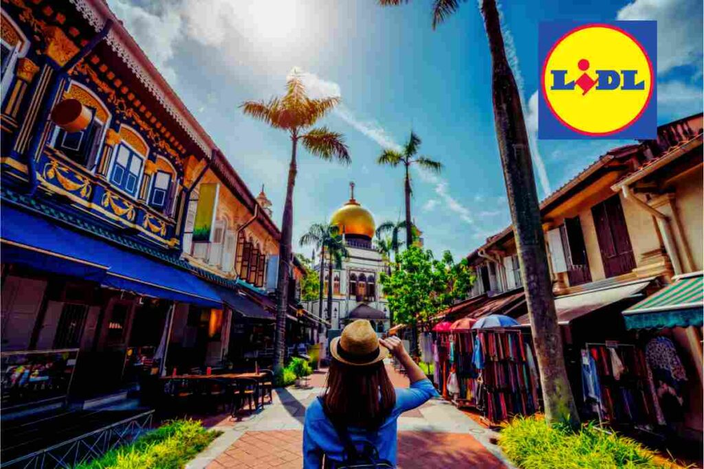 Lidl, l'oggetto per viaggiare senza pensieri