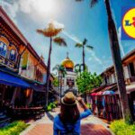 Lidl, l'oggetto per viaggiare senza pensieri