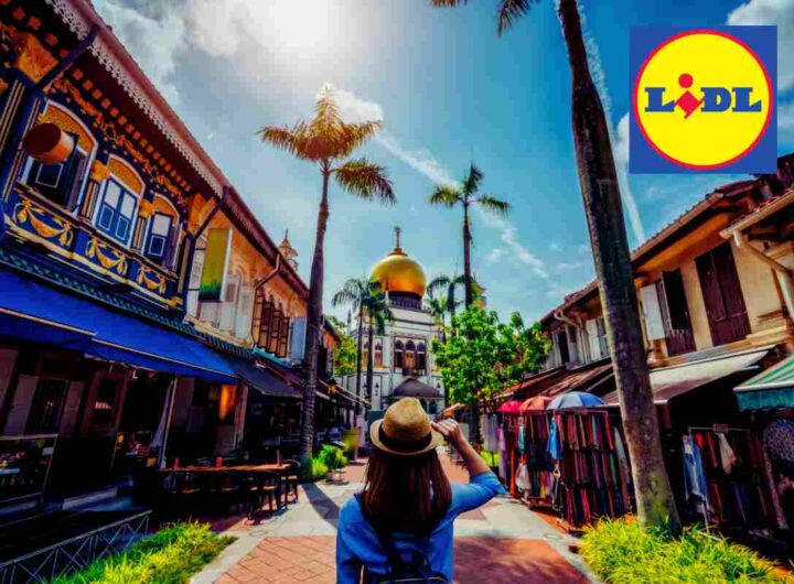 Lidl, l'oggetto per viaggiare senza pensieri