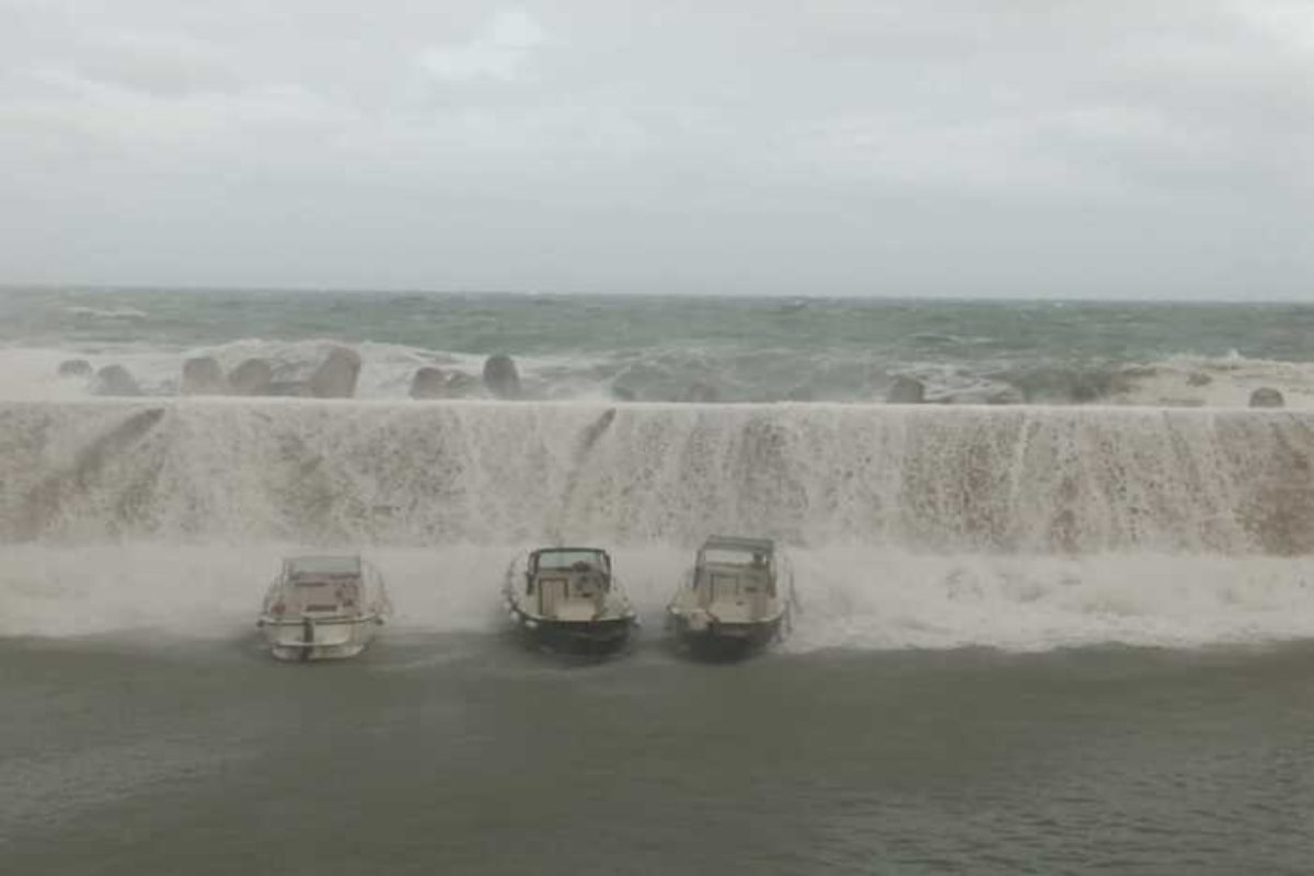 Harry distrugge il Sud