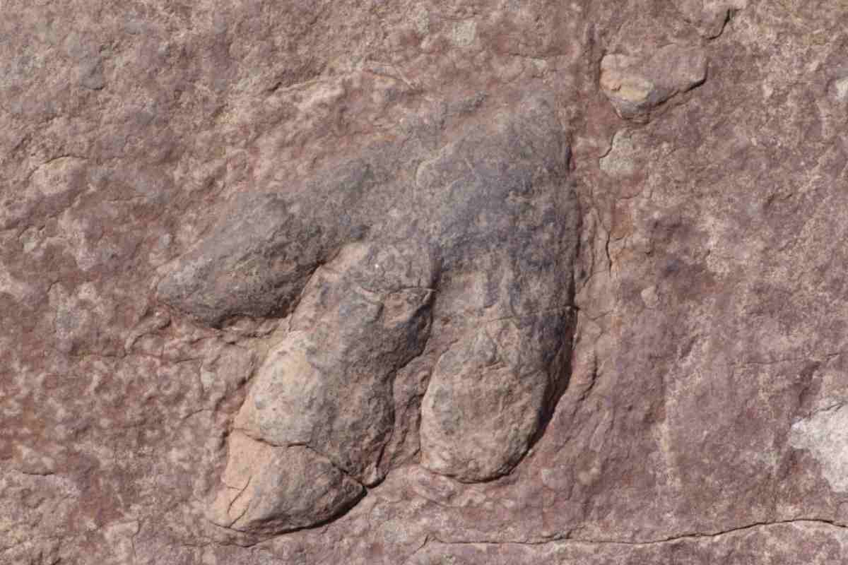 Non solo un patrimonio paleontologico, ma anche una meta turistica che si integra perfettamente con l’offerta sportiva della zona per le Olimpiadi