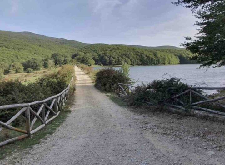 Questo bacino artificiale, realizzato negli anni Ottanta dal Corpo Forestale della Regione Siciliana, continua a incantare turisti