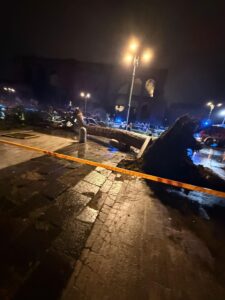 Crolla pino di 20 metri ai Fori Imperiali a Roma