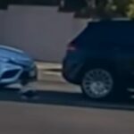 Neonato cade dall'auto in corsa