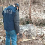 cani abbandonati gabbia