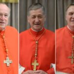 Tre cardinali statunitensi contro Trump