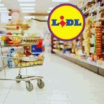 carrello della spesa lidl pieno con meno di 20 euro