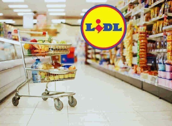 carrello della spesa lidl pieno con meno di 20 euro