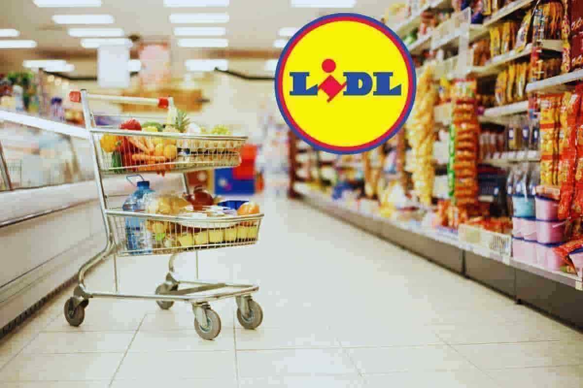 Ho riempito il carrello da Lidl con meno di 20€: non immagini cosa ho portato a casa