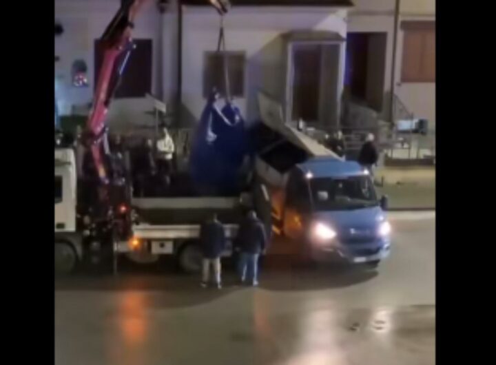 cavallo morto a nocera inferiore