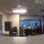 Il video del cervo che entra in banca e fa scattare l'allarme antifurto