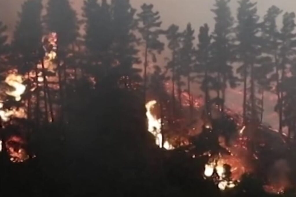 Incendio boschivo in Cile