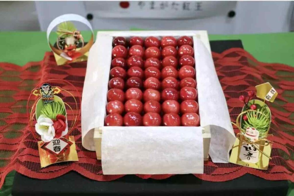 Ciliegie giapponesi "Sato Nishiki"