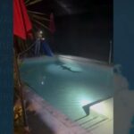 Il video della famiglia che ha ritrovato un coccodrillo nella loro piscina