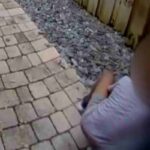 Ragazzino uccide un'anatra in Florida