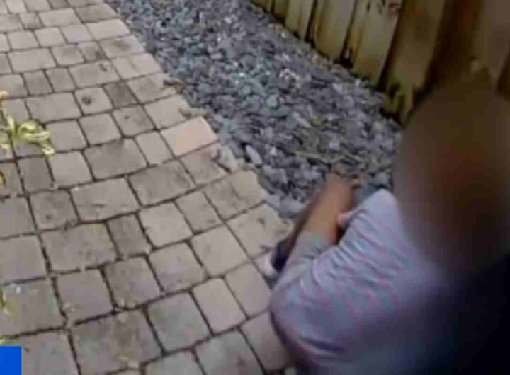 Ragazzino uccide un'anatra in Florida