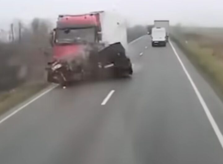 incidente tifosi paok