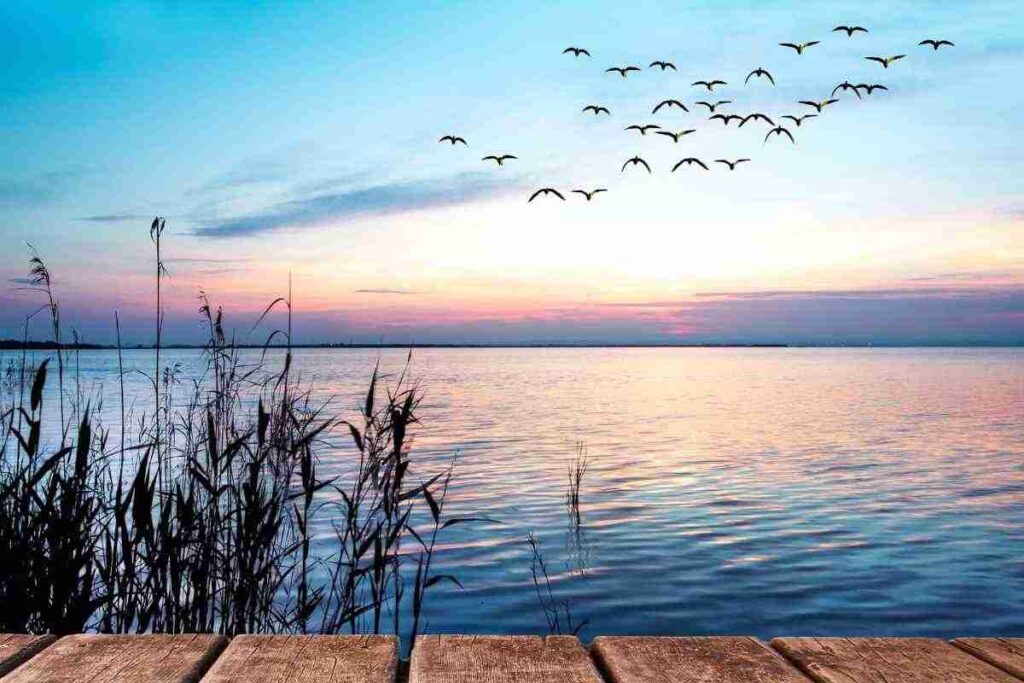 Un’oasi segreta tra laghi cristallini e dolci colline, tutti i dettagli