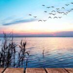 Un’oasi segreta tra laghi cristallini e dolci colline, tutti i dettagli