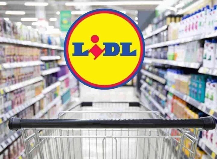 Il gadget antispreco di Lidl: costa solo 4 euro e ti fa risparmiare