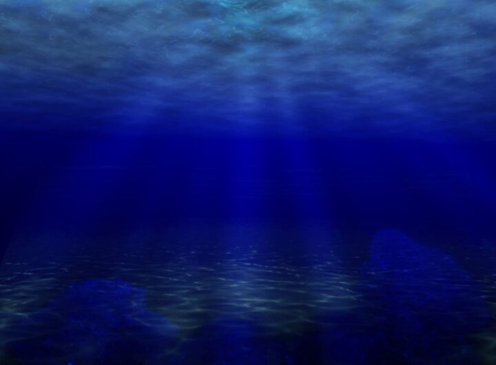 Gli oceani non sono mai stati così caldi, nuovo record di temperature nel 2025