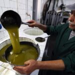 olio d'oliva tunisia