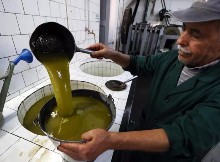 olio d'oliva tunisia