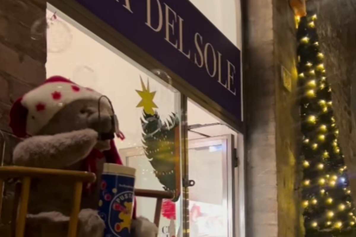 Orsetto di peluche rubato