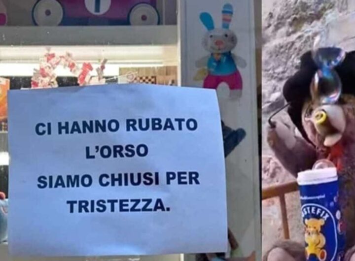 Cartello negozio e orsetto di peluche