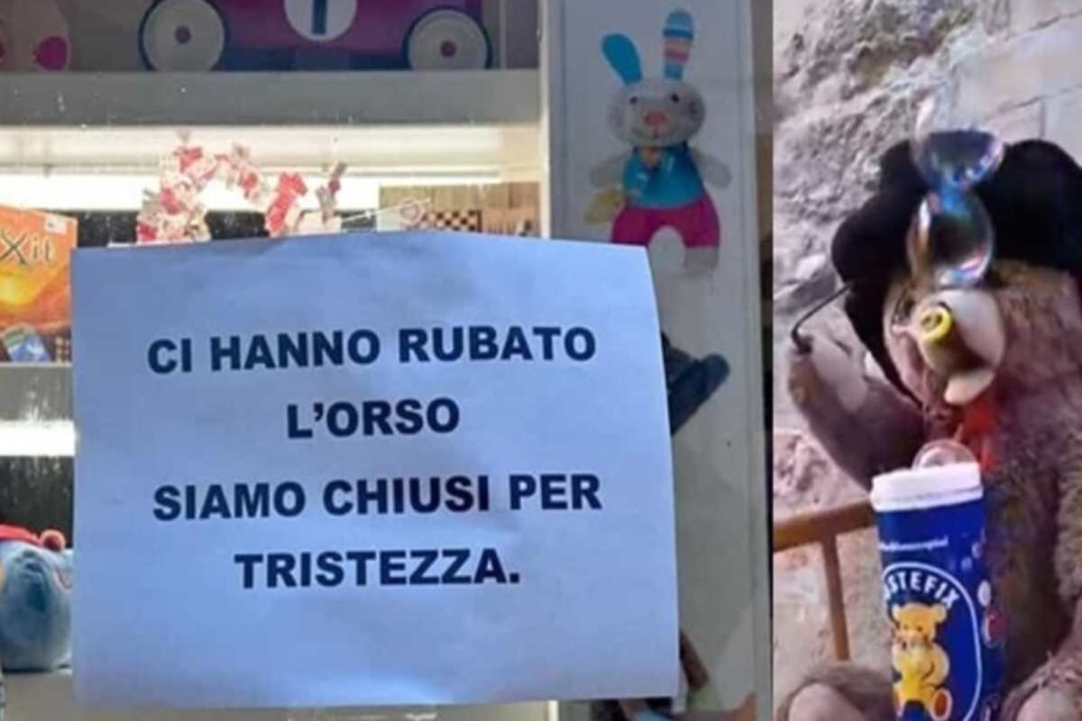 Perugia, ladri rubano un orsetto di peluche: il negozio di giocattoli chiude “per tristezza”