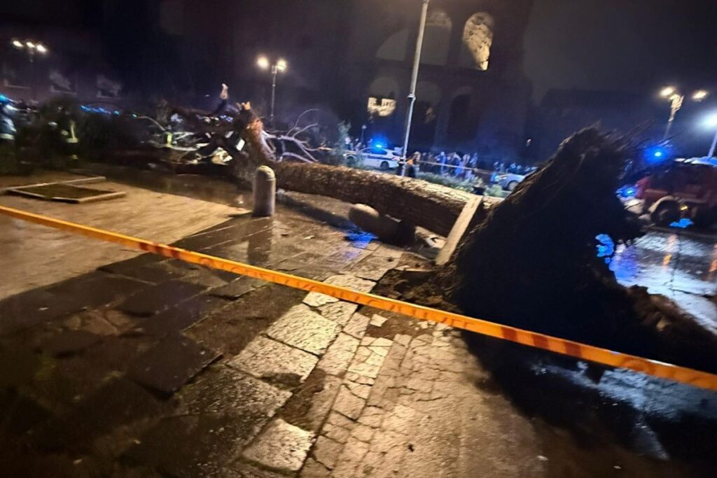 pino crollato a roma