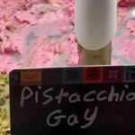 "Pistacchio gay", polemica sul nuovo gusto esposto in una gelateria di Catania