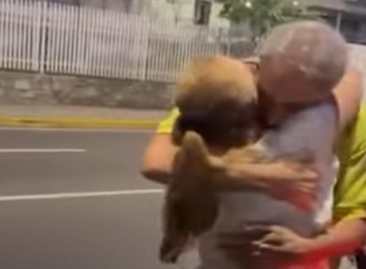 La liberazione di Biagio Pilieri