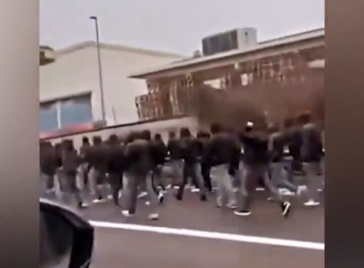 scontri ultras roma fiorentina