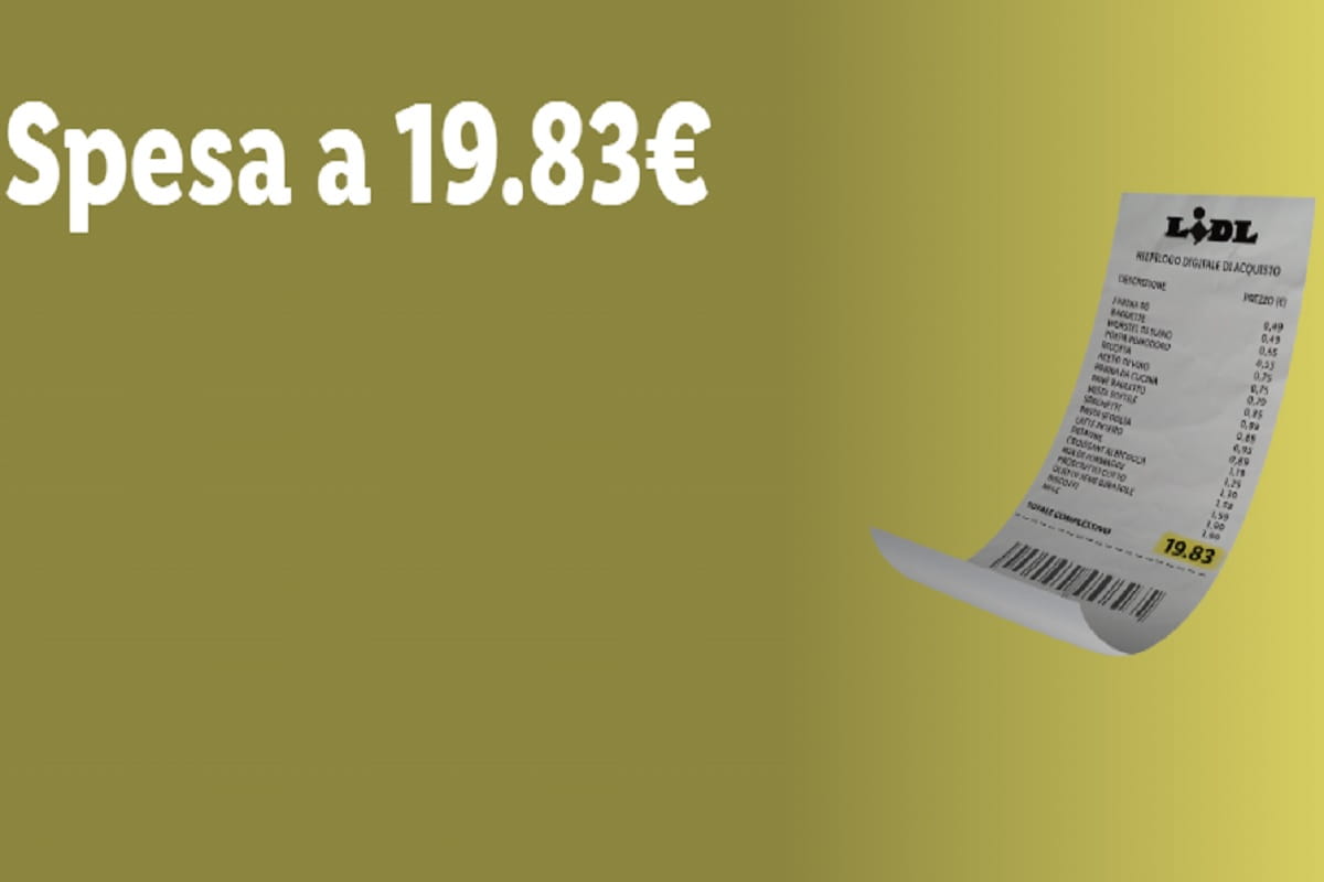 carrello della spesa lidl pieno con meno di 20 euro