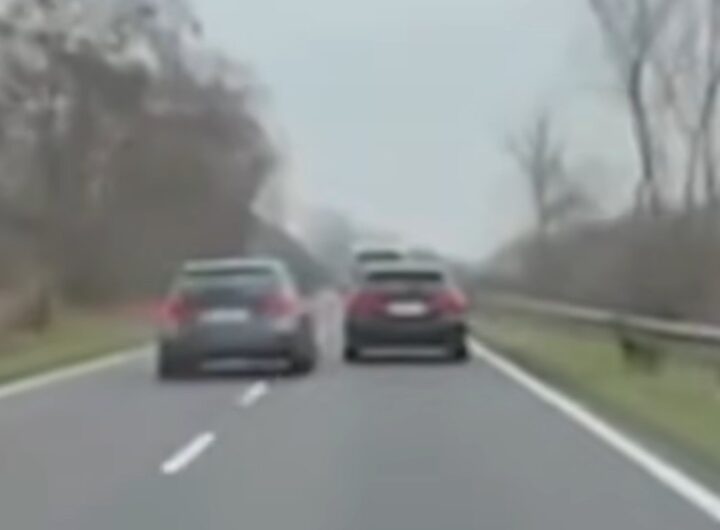 stalker borgo mantovano