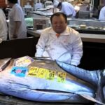 Tonno rosso da 243 chili venduto all'asta per 3,2 milioni di dollari