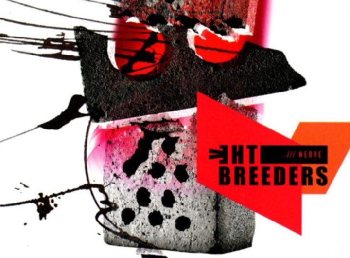 Un particolare della colorata copertina di All Nerve dei Breeders, con un mattone rotto in primo piano