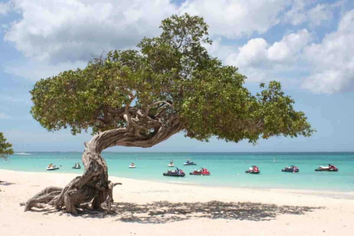 Egle Beach, Aruba 
