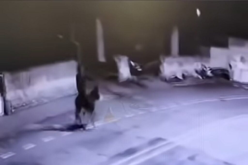 L'uomo rapina una gioielleria e scappa in sella ad un asino