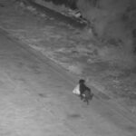 cane porta spazzatura catania