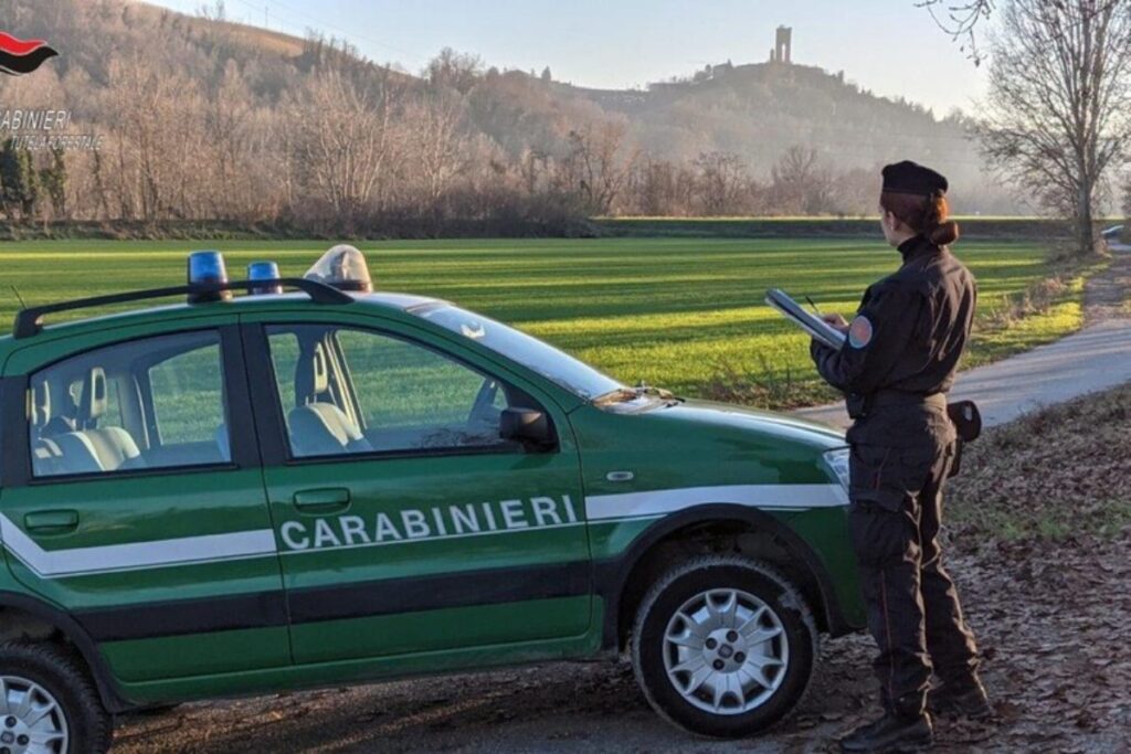 carabinieri forestali