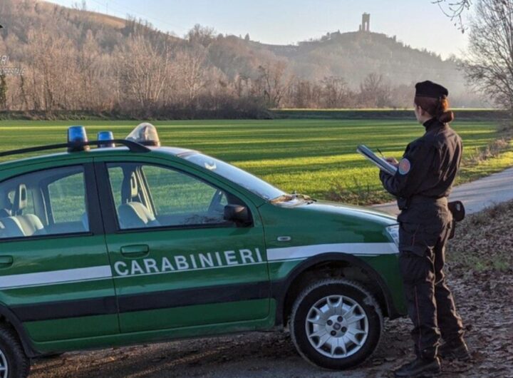 carabinieri forestali