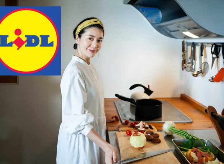 elettrodomestico lidl in offerta per la cena